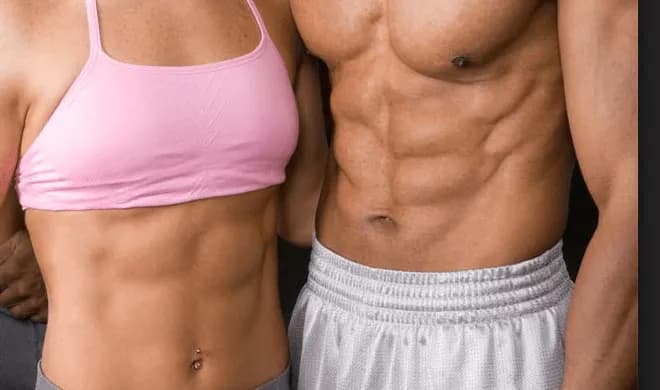 The Belly Fat breakdown