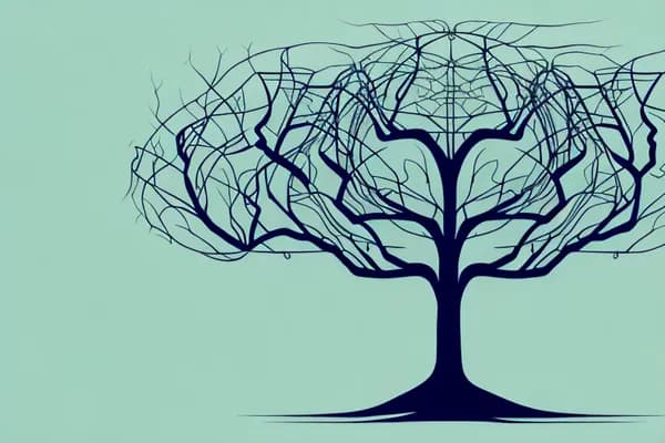 Understanding Mind-Body Connection: The Foundation of Holistic Health