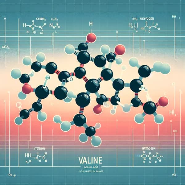 Valine: The Muscle Building Amino Acid Explained