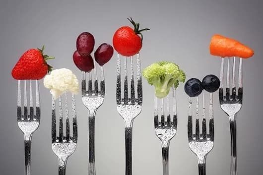 Best Diet
