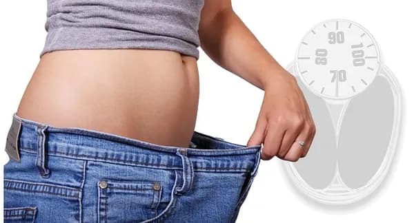 Balanced meal ingredients and a notebook for a beginner weight-management routine