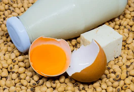 How much protein do you need?