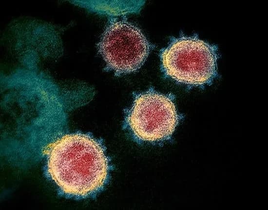 Coronavirus Best Practices. COVID-19 - Learn and Share!