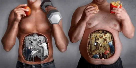 Metabolism - How Your Body Burns Calories