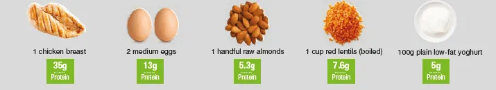 What is protein - protein sources