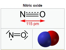 What is Nitric Oxide?