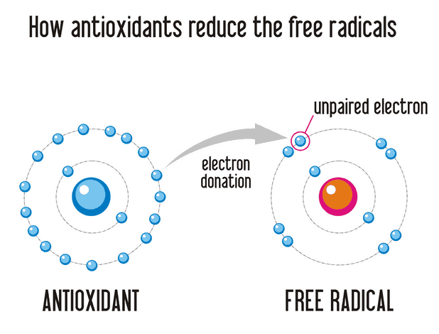 What are Antioxidants
